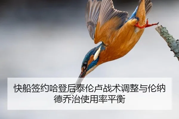 kuai-chuan-qian-yue-ha-deng-hou-tai-lun-lu-zhan-shu-tiao-zheng-yu-lun-na-de-qiao-zhi-shi-yong-lv-ping-heng-3-603.jpg